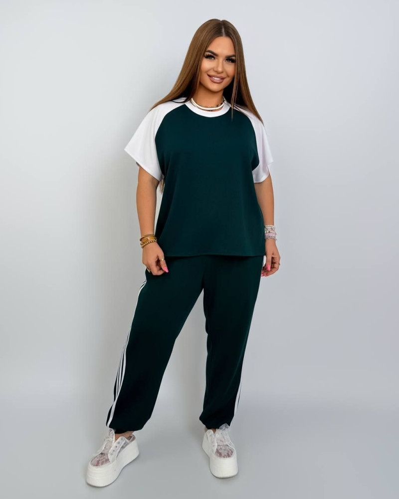 Жіночий костюм Chic Style NAT-7968