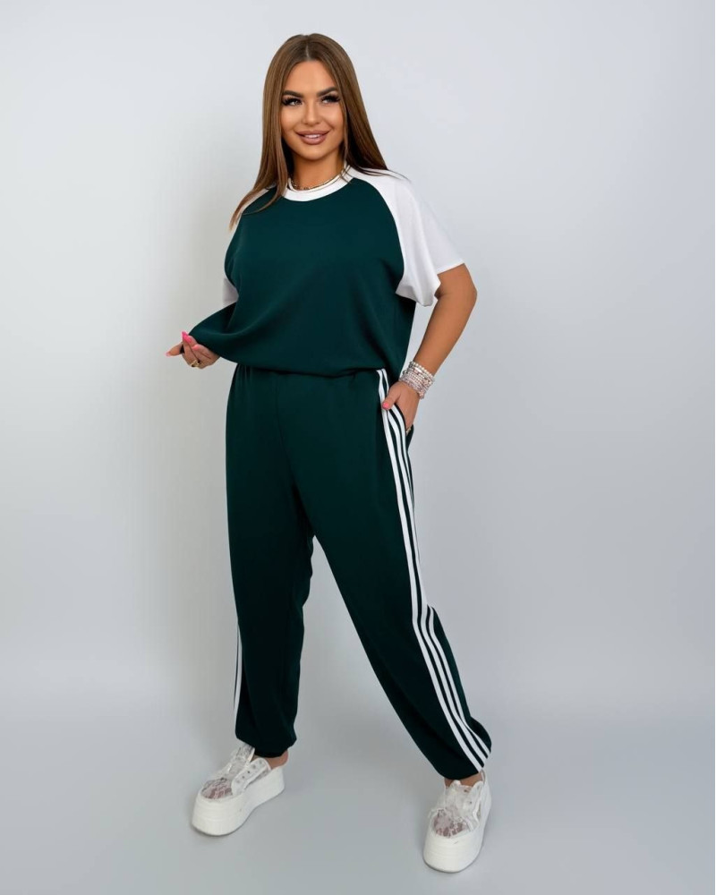Жіночий костюм Chic Style NAT-7968
