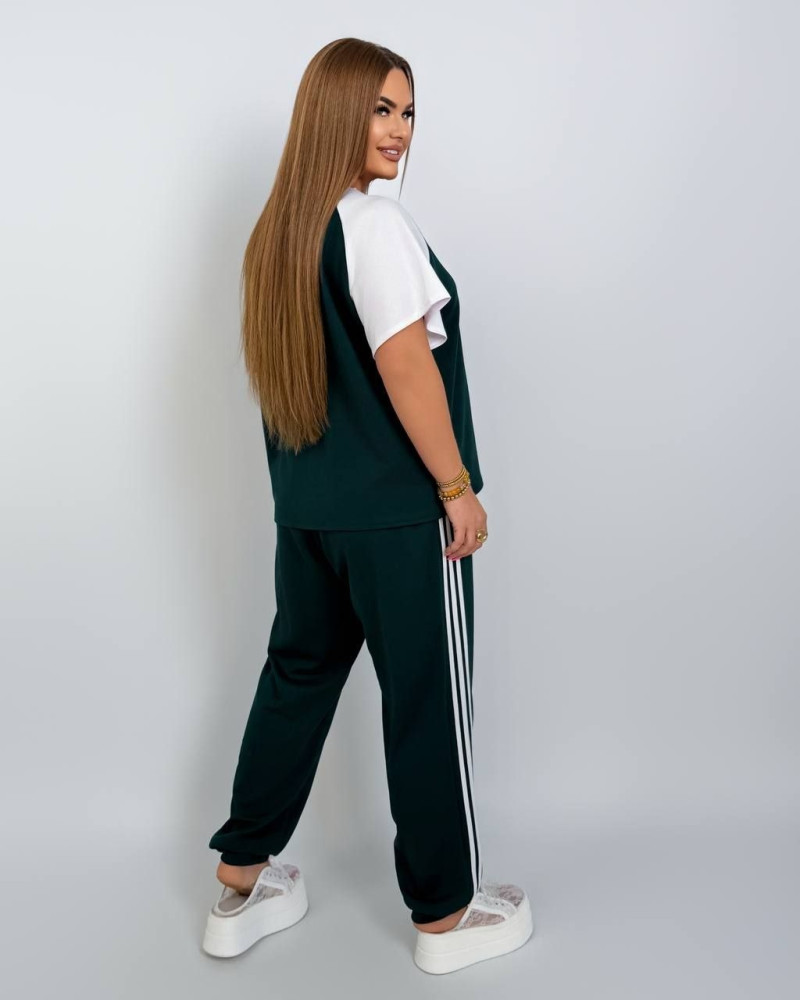 Жіночий костюм Chic Style NAT-7968