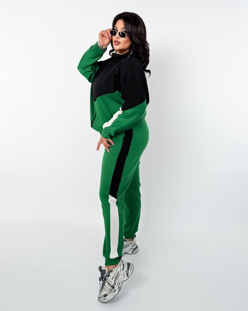 Жіночий костюм Chic Style Nat-7947