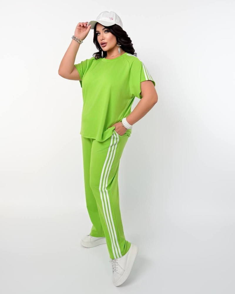 Жіночий костюм Chic Style Nat-7979