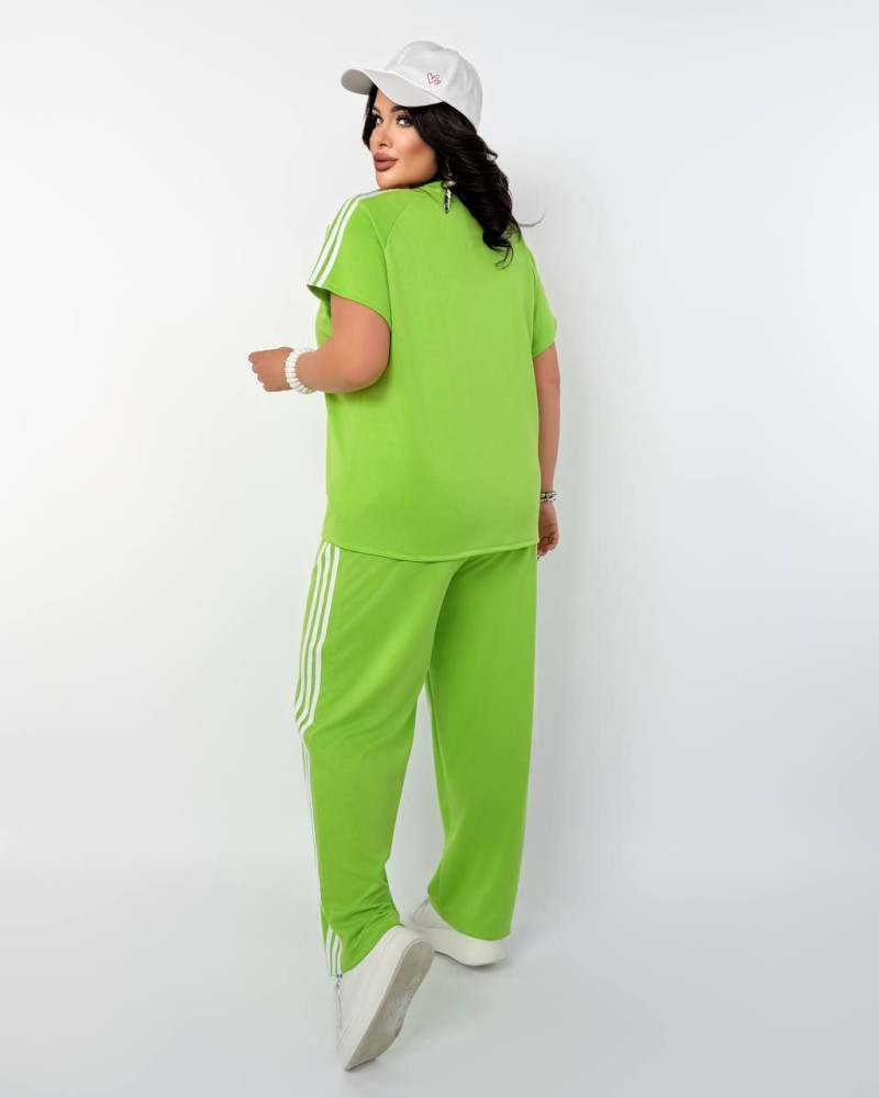 Жіночий костюм Chic Style Nat-7979